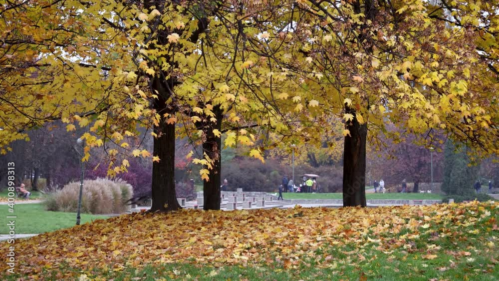 Poster 4k video of Autumnal scenery in Mokotow Field - large park in Warsaw, capital city of Poland