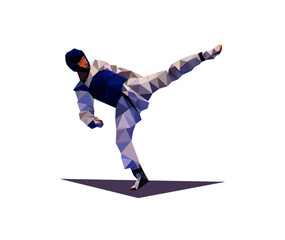 Blue TaeKwonDo Player low poly