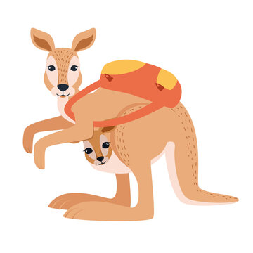The character. Kangaroo with a kangaroo and a backpack on the back. Vector illustration