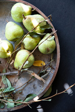 Basket of fresh picked pears shot from overhead
