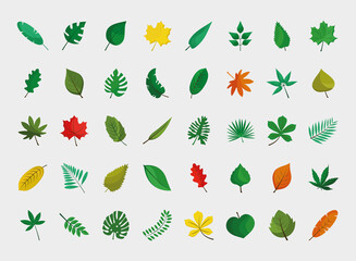 bundle of fourty leafs plants flat style icons vector illustration design