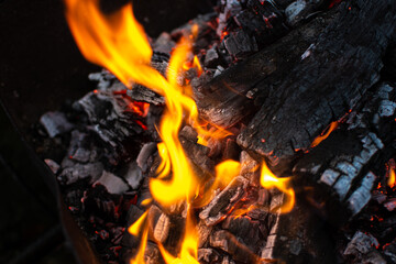 burning bonfire