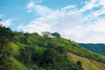Obraz premium Colombian mountains full of trees and bushes