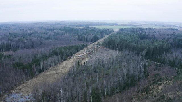 Aerial drone panorama view of tree cutting work place.