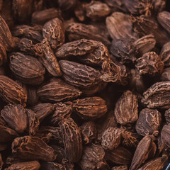 Indian Spices
