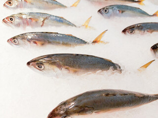 Fish on ice in the market, Fresh raw mackerel fish.