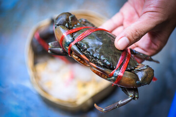 Seafood crab on hand in the market, Fresh raw crab ocean gourmet in the restaurant.