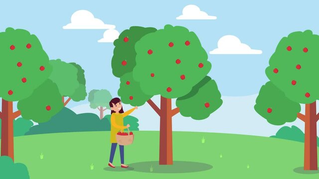 Little girl harvesting ripe apples on the tree