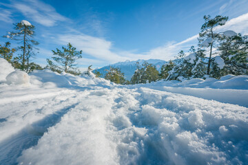 Selective focus on snow of winter walking path in Austrian Alps at Mieming, Tyrol, Austria