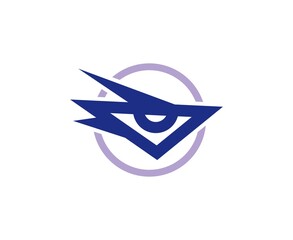 Eye logo
