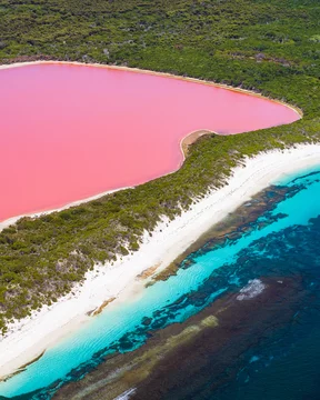 Lake Hillier, Esperance. A unforgettable pink lake next to a beach on an  island. фотография Stock | Adobe Stock