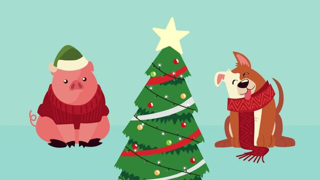 cute little pig and dog with pine tree