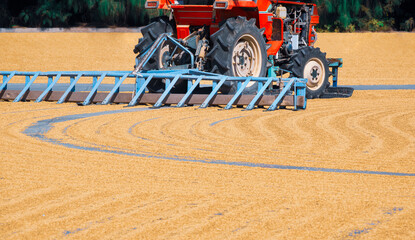 Part of red tractor is working on grain paddy rice drying courtyard inside of rice mill area,...