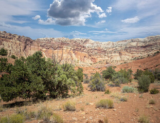 Unbelievable sandstone cliff and superlative domes with tumbleweeds on a hot summer partly cloudy day in Capitol Reef National Park in Southern Utah