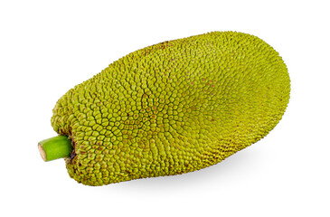 Jackfruit an isolated on a white background
