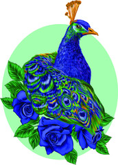 peacock portrait bird  and blue flowers vector illustration