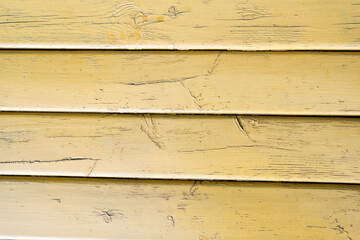 wooden boards. background with the texture of a tree. 