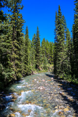 Fototapeta na wymiar Johnston Canyon in Banff National Park