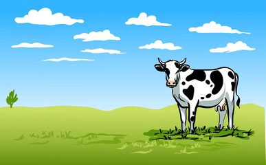 A black and white cow stands on a bright green lawn and looks at the viewer. Blue sky with clouds. Color illustration. Vector.