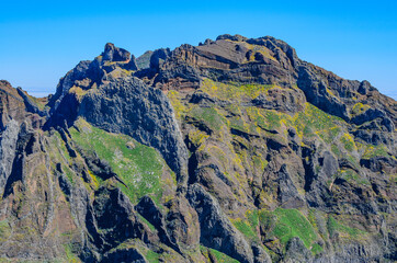 The beautiful mountain is decorated with flowers.