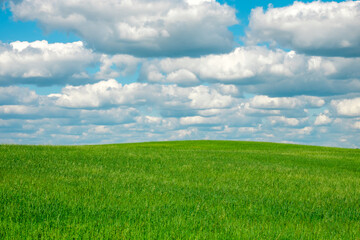 Obraz na płótnie Canvas landscape of beautiful white clouds on blue sky over green meadow with planted grass