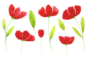 Red poppies and green leaves clip arts set isolated on white background. Bright colors abstract flowers illustrations. Eight watercolor hand drawn botanical design elements.