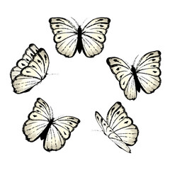 Obraz premium set of butterflies
