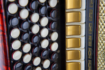 Buttons bayan close-up. Black and white keys of an accordion close up.