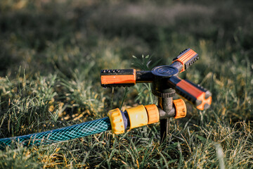 Drip irrigation. The photo shows the irrigation system in a raised bed. Drip irrigation on a green...