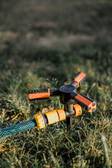 Drip irrigation. The photo shows the irrigation system in a raised bed. Drip irrigation on a green lawn on a sunny day. The rays of the sun through the drops. Lawn watering device
