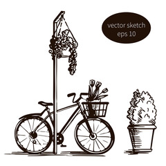 Vector hand-drawn black and white illustration of a bicycle with a basket by a post with flowers in a pot and a pots.
