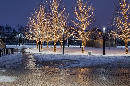 A Large Amount White Led Fairy Lights Wrapped Around A Trees