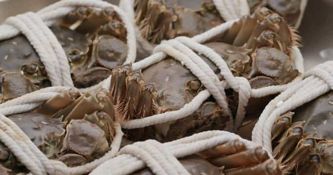 Fresh raw Chinese mitten crab