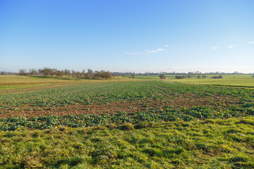 Landscape in middle germany close to Gie&szlig;en, Hessia