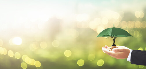 Investment concept: Businessman hands holding stack of golden coins and big tree with green...