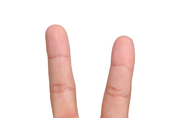 Isolated Fingers on the white background.