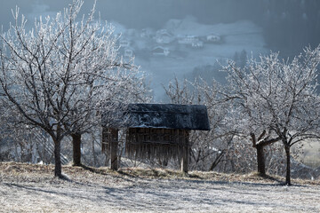 Cold Alpine landscape