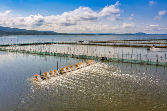 Aerial view of  white shrimp ( prawn ) farm with aerator pump in front of O Loan lagoon, Phu Yen, Vietnam.