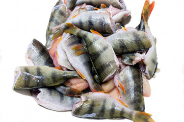 Fresh butchered fish on a white background