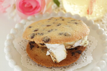 Homemade chocolate chips cookie on dish 