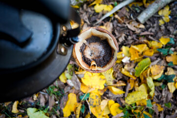 Ready to dropping water on the ground coffee. coffee break with drip coffee on the forest, ground...