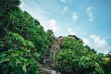 Fototapeta na wymiar A hiking trail of Nipple Mountain with goats standing on the peak with blue sky, on Lanyu island in Taitung