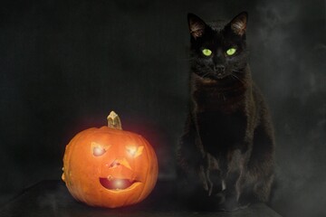 HALLOWEEN concept - black cat sitting next to the pumpkin, autumn is here. A black cat with green eyes sitting next to the pumpkin in front of a dark blue background in fog.