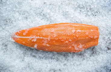 Fresh raw salmon fish steak on ice over gray stone background.