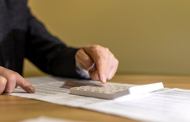 Analysing of accounting and financial documents, diagrams with calculator