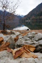 Lake Ritsa in December. Abkhazia. December 2020.