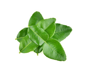 Top view of Kaffir lime leaf isolated on white background
