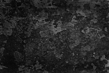gray grunge concrete blank wall, abstract background art design