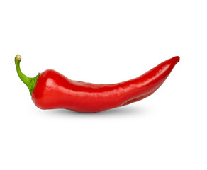 one chili pepper on isolated white background