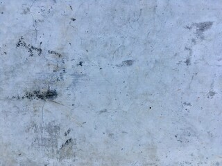 background of ants